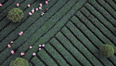 &ldquo;三言兩語(yǔ)&rdquo;背后的貴州之變