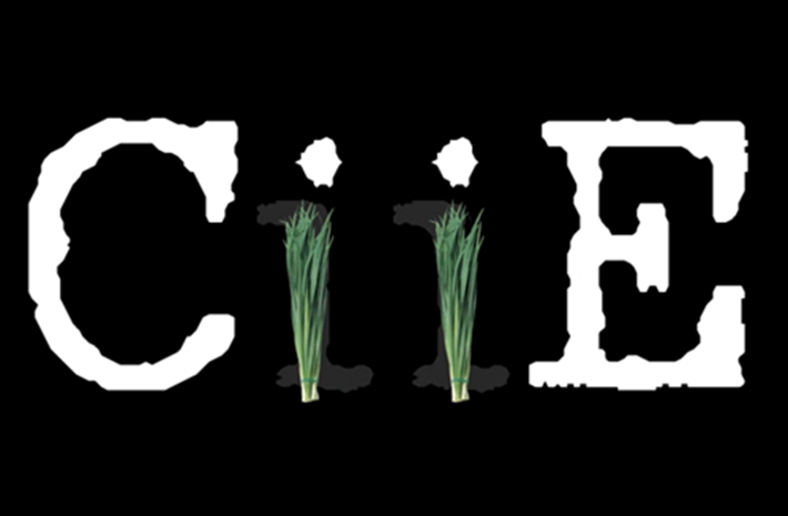 新華社創(chuàng)意動感視頻：考眼力！數(shù)數(shù)多少樣進(jìn)口貨