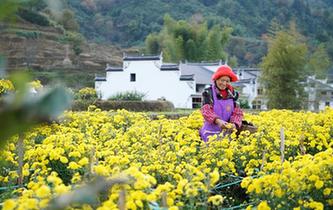 &ldquo;曬秋大媽&rdquo;的幸福生活