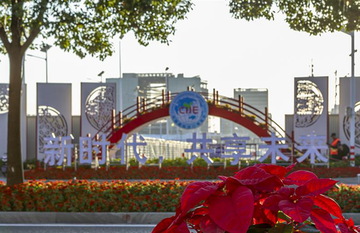 進(jìn)博之光輝耀世界&mdash;&mdash;寫在第二屆中國(guó)國(guó)際進(jìn)口博覽會(huì)開(kāi)幕之際