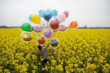 鄉(xiāng)村振興花為媒