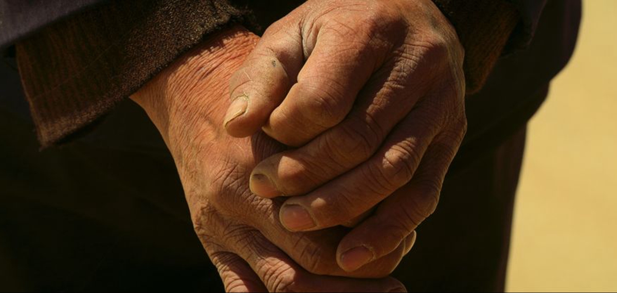 正式發(fā)布！《攜手，為人民》中國共產(chǎn)黨與世界政黨領(lǐng)導(dǎo)人峰會暖場片