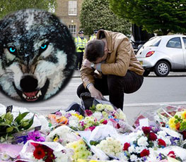 血案頻發(fā) "獨(dú)狼"緣何兇猛？