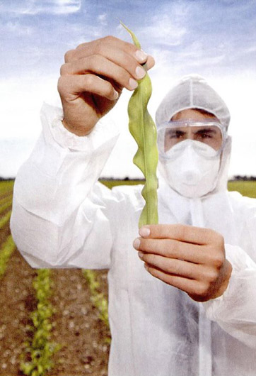 轉基因&ldquo;轉&rdquo;的是什么？