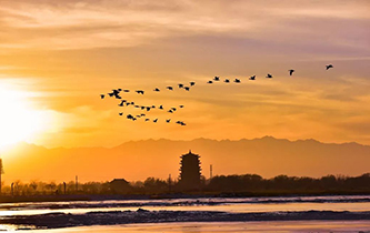 你想看的風景，這里都有